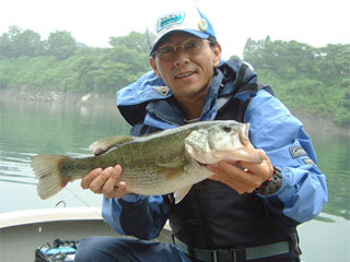 BASS 50cm