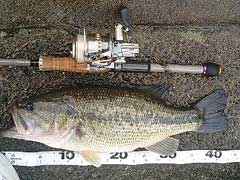 ブラックバス45cm